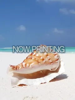 林 ゆうり