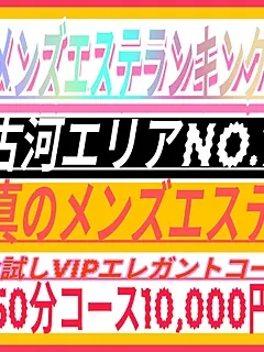 VIPエレガント新規割(メンズエステZERO)