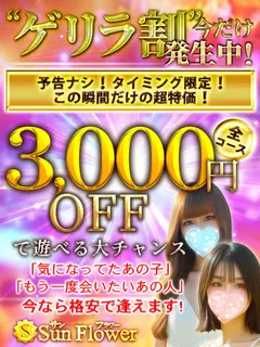 ゲリラ割