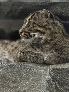 出勤前ブログෆ‪の画像