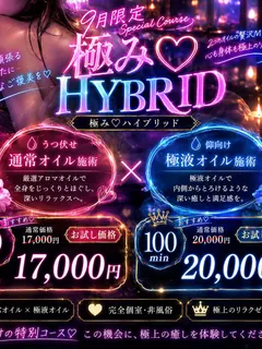 極みHYBRID