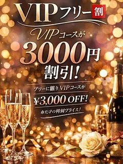 お得なVIP+フリー割
