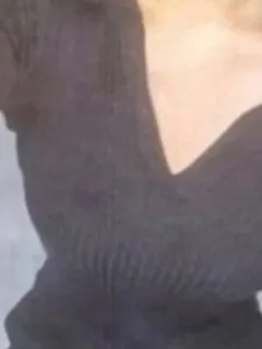 冬野みかん