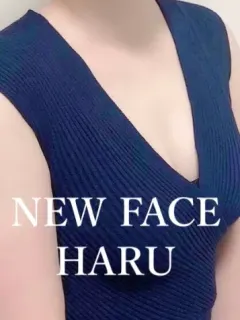 新人 ハル