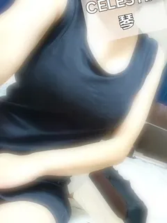 琴