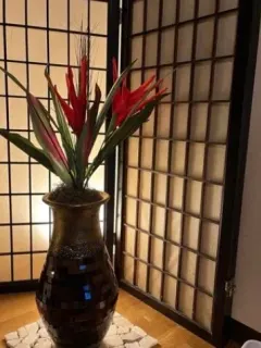相馬未来