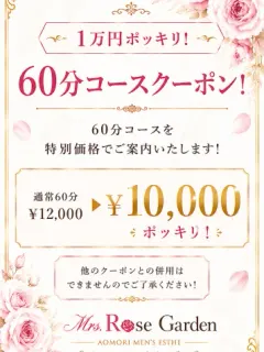 1万円ポッキリ！60