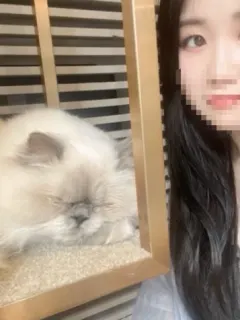 ゆか
