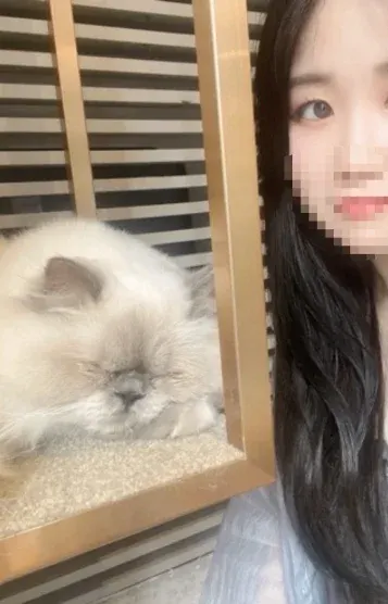 ゆか(ホールインワン 綱島)の公式プロフィール写真