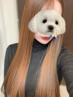 レイ