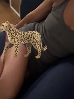 豹*ひょう