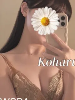 桜庭こはる