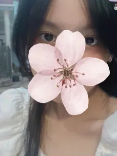 ローラ。ベトナム
