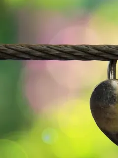 氷見津