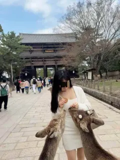 リリ