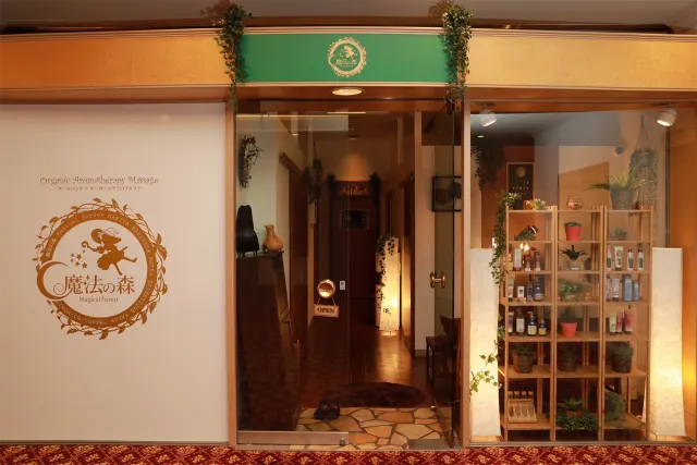 魔法の森の店舗画像