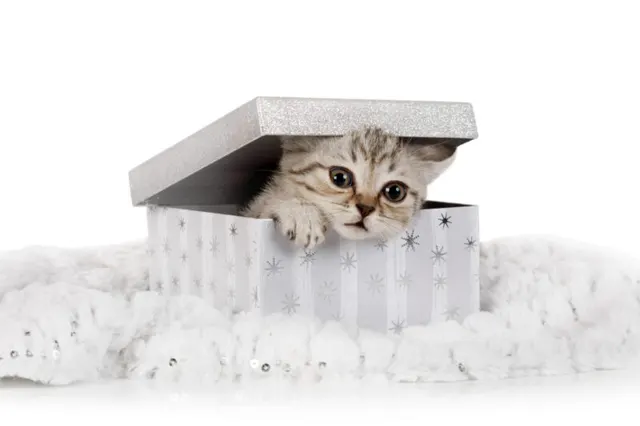 白ねこエステの店舗画像
