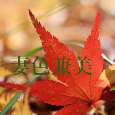 妻色兼美 金沢店の店舗画像