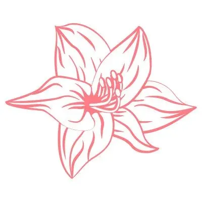 Amaririsu(アマリリス)の店舗画像