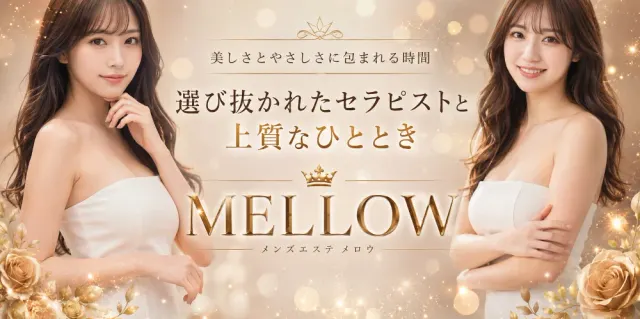 MELLOW 宮崎店の店舗画像