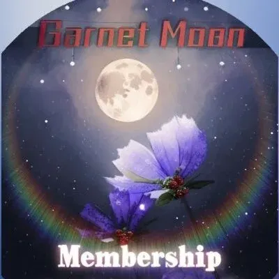 garnet moonの店舗画像