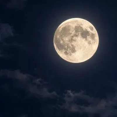 MOON LIGHT ムーンライトの店舗画像