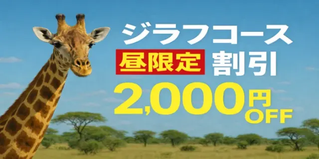 Gracesの店舗画像