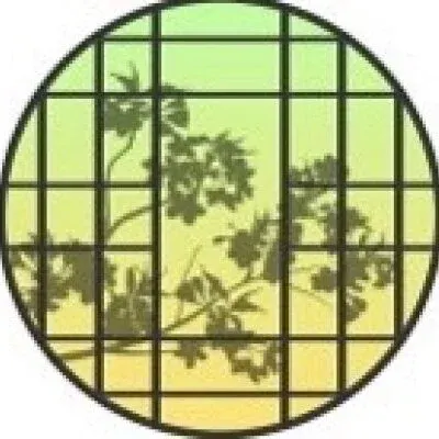 MITSUBACHIの店舗画像