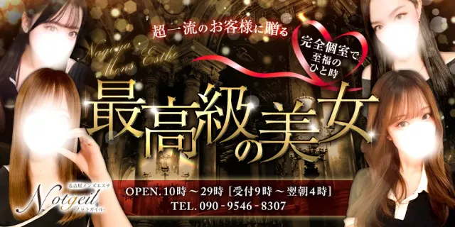 ノットガイルの店舗画像