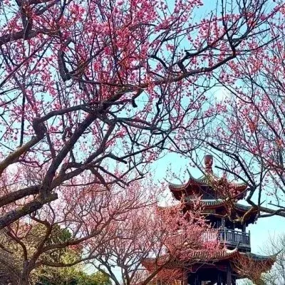 熊本エステ花蓮の店舗画像