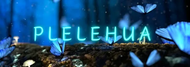 Plelehuaープレレフアーの店舗画像
