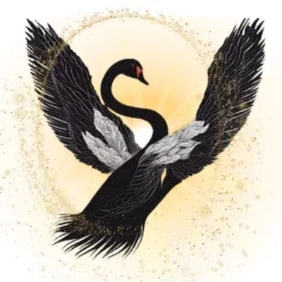 BLACK SWANの店舗画像