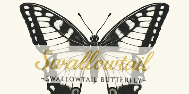 スワローテイル-Swallowtail Butterfly-の店舗画像