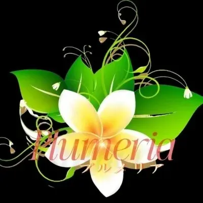 Plumeria(プルメリア)の店舗画像
