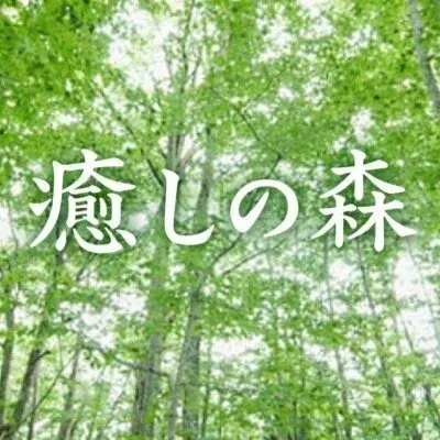 出張メンズエステ 癒しの森の店舗画像