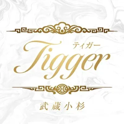 Tigger 武蔵小杉店の店舗画像