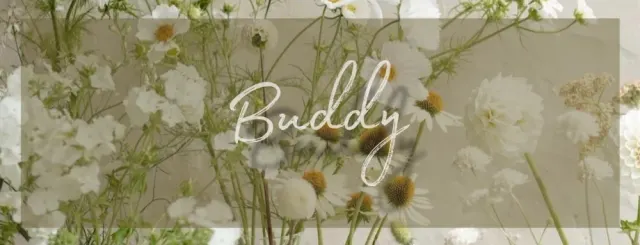 【Buddy】ダブルセラピストの店舗画像